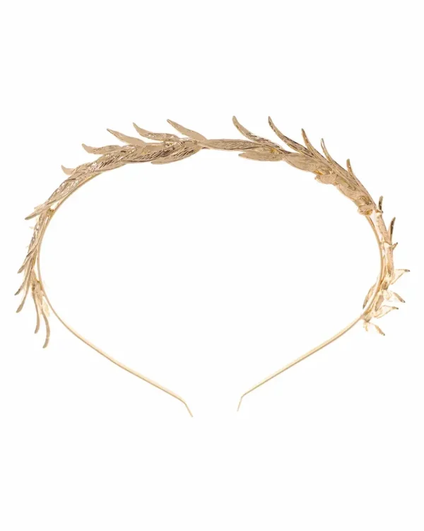Juan Bernal Diademas^Diadema Cedro