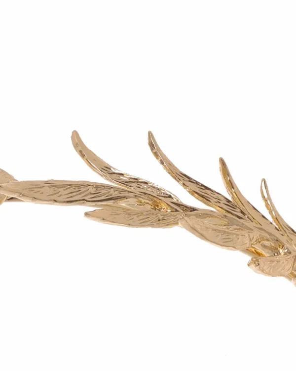 Juan Bernal Diademas^Diadema Cedro