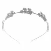 Juan Bernal Diademas^Diadema Elduin plateada