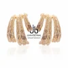 Juan Bernal Pendientes^Pendientes Lion